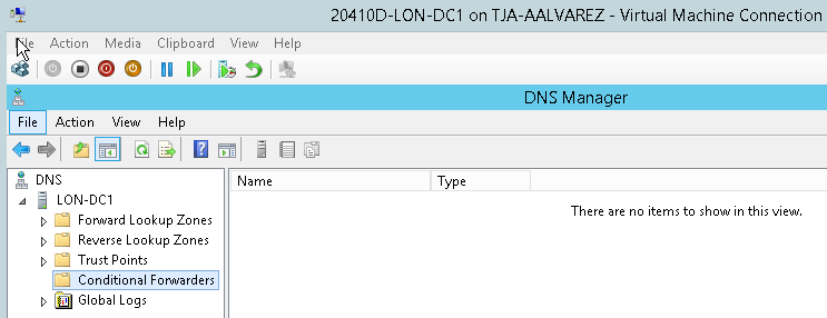 DNS Server Manager - select DNS