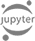 Jupyter logo